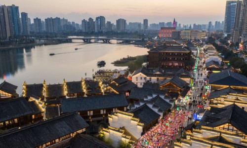 参茸鞭丸是什么药组成的-参茸鞭丸的功效怎么样专区_参茸鞭丸的功效与作用和适用人群专区_参茸鞭丸的功效说明书网