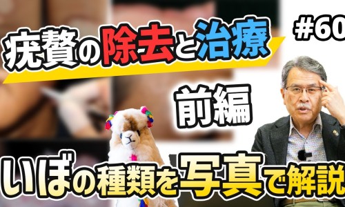 参茸鞭丸的功效与作用和适用人群-参茸鞭丸的功效怎么样专区_参茸鞭丸的功效与作用和适用人群专区_参茸鞭丸的功效说明书网